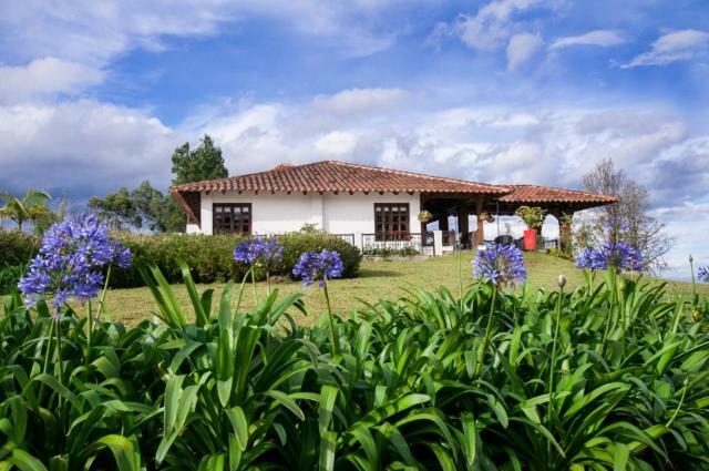Hotel Reserva Monarca Salento Eksteriør billede